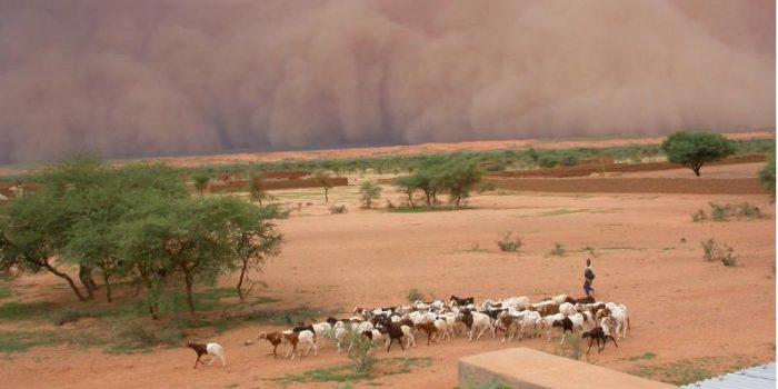 “Critical” levels of land degradation intensifying climate change
