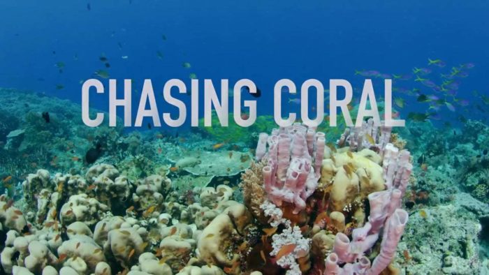 Chasing Coral: screening and post-film discussion