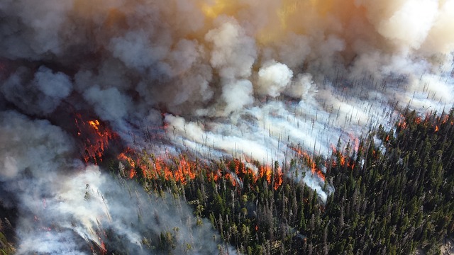Aerial view of forest fire