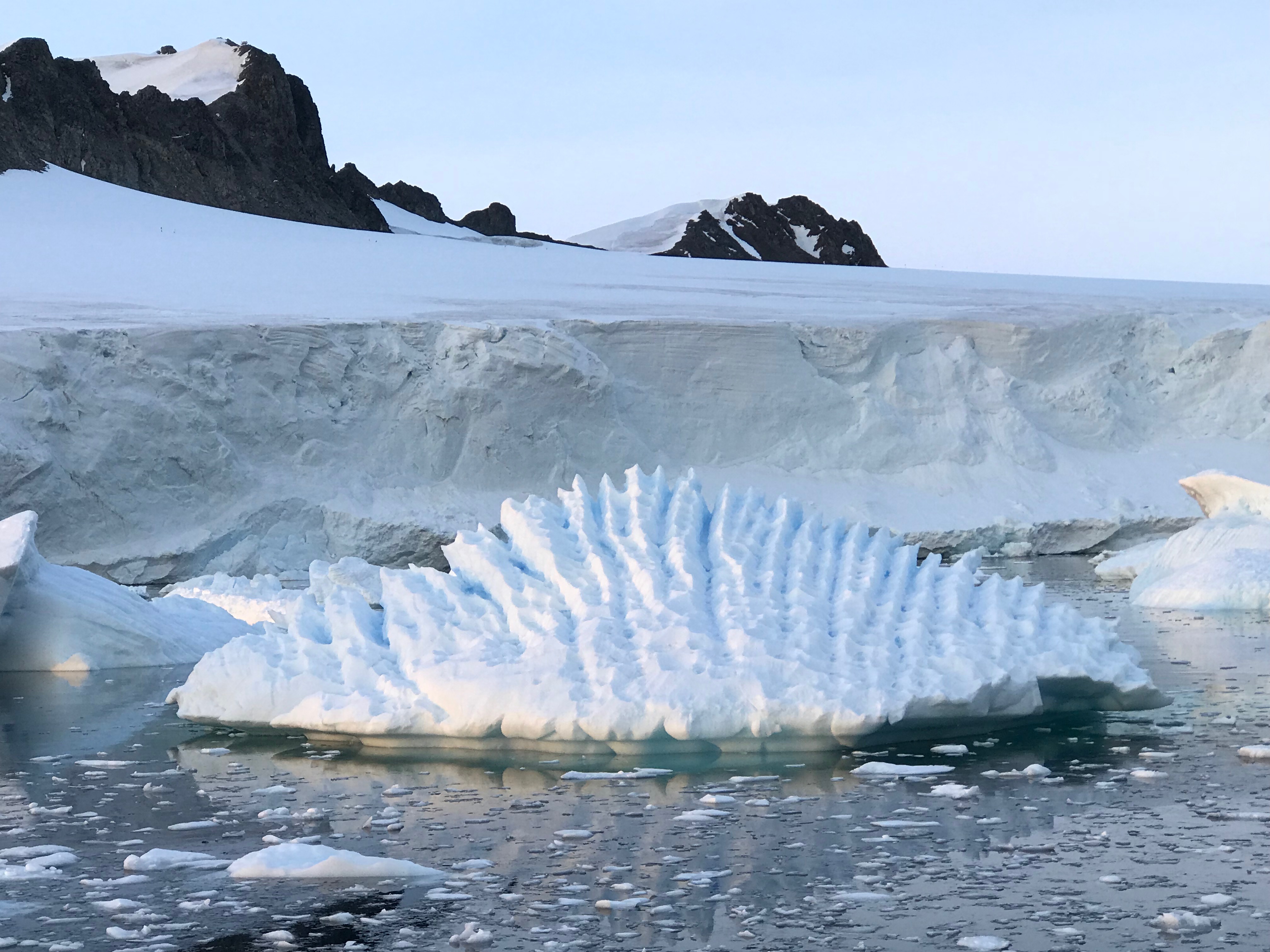 Ice floes floating in water in the Antarctic