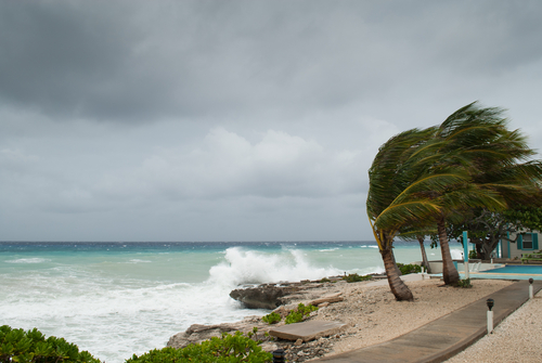 Beach view showing a storm, whipping up big waves and blowing palm trees