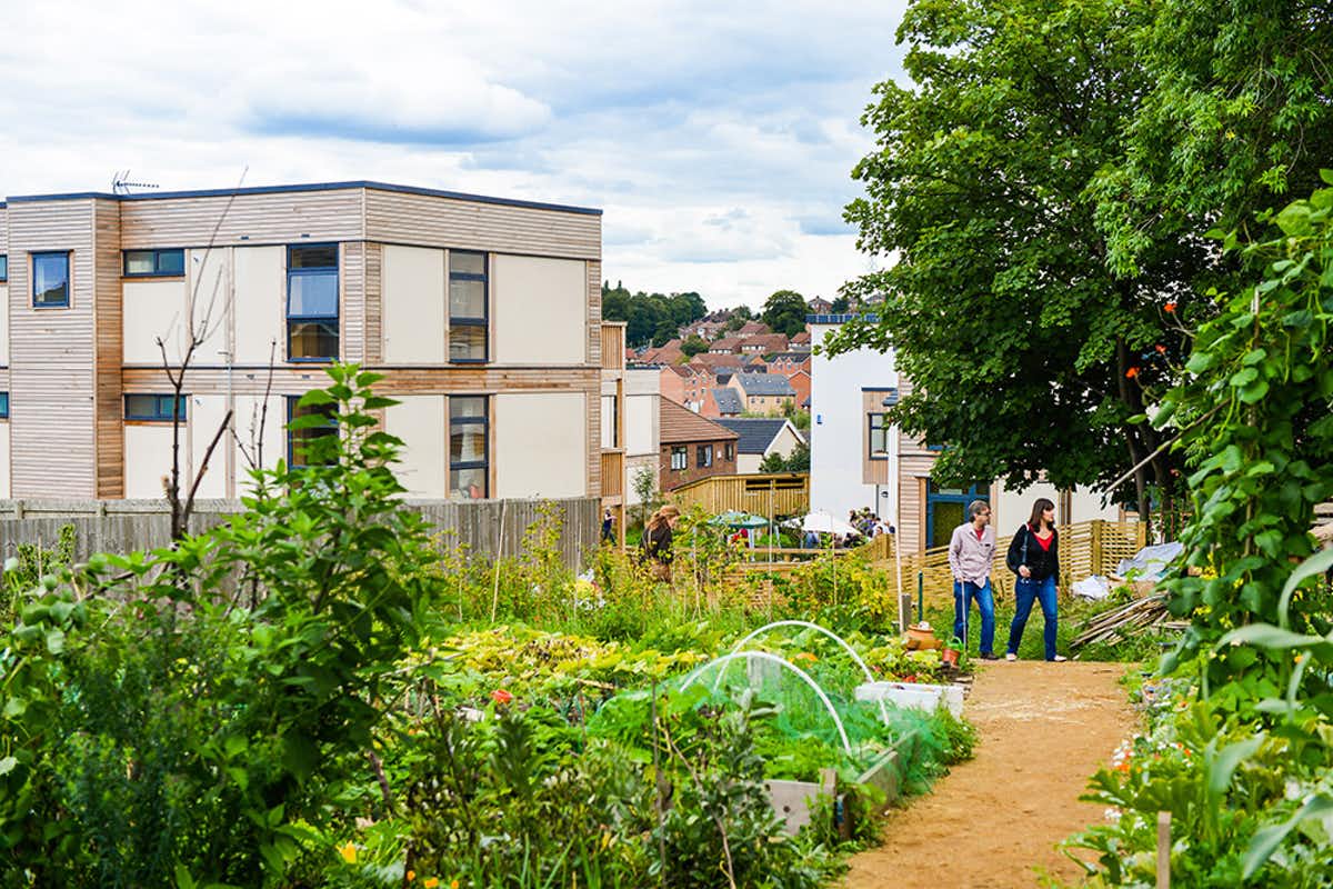 A green and lush view of a housing cooperative in Leeds, with people walking amongst vegetable gardens