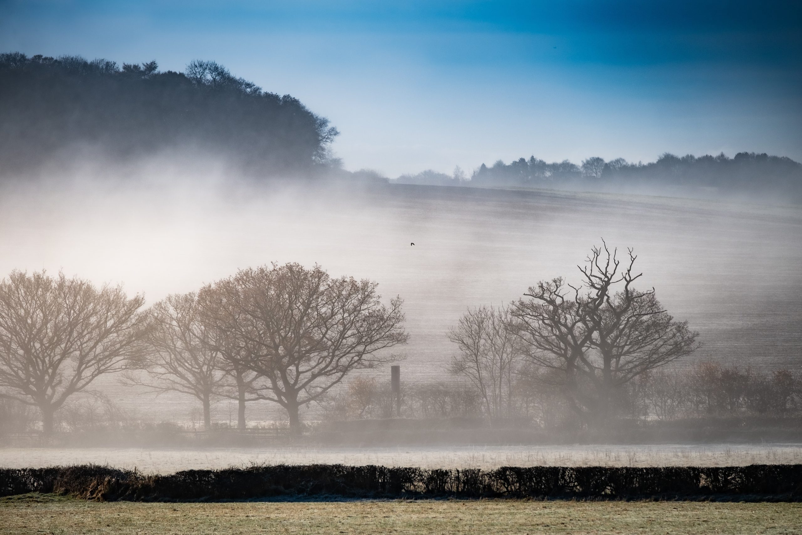 Atmospheric outdoor rural scene showing mist hanging over a valley with fields and trees