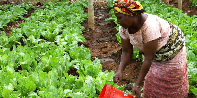 Empowering African farmers for a more sustainable future