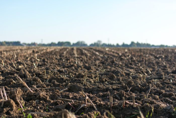 Improving soil health through climate-smart agriculture