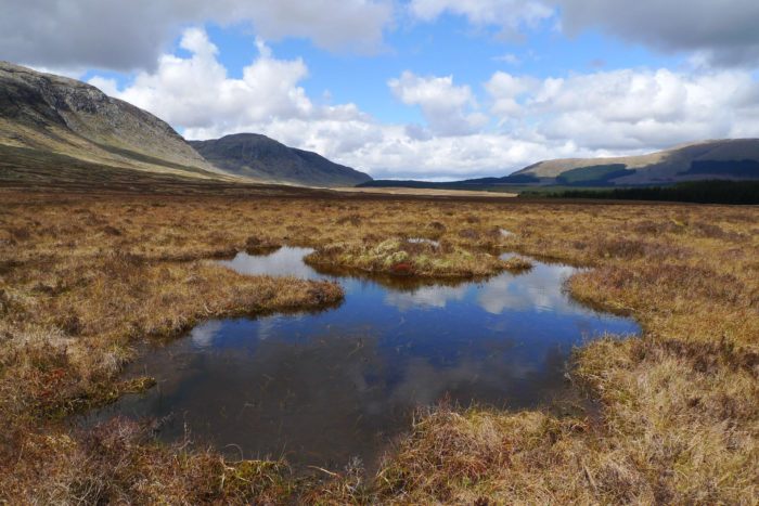 Act now for economic benefits from peatland restoration