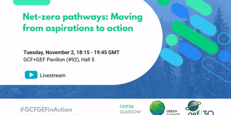 Net-zero pathways - Moving from aspirations to action