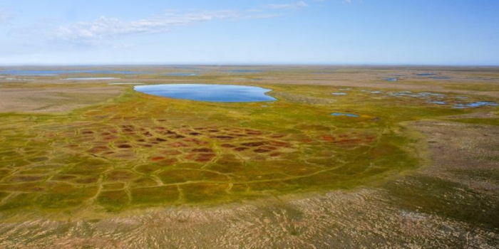 Permafrost peatlands approaching tipping point