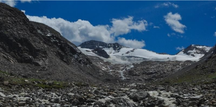 Vanishing glaciers threaten Alpine biodiversity