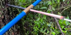 A blue cross-shaped tool being used to extract a sample from a tree trunk, surrounded by green leaves.