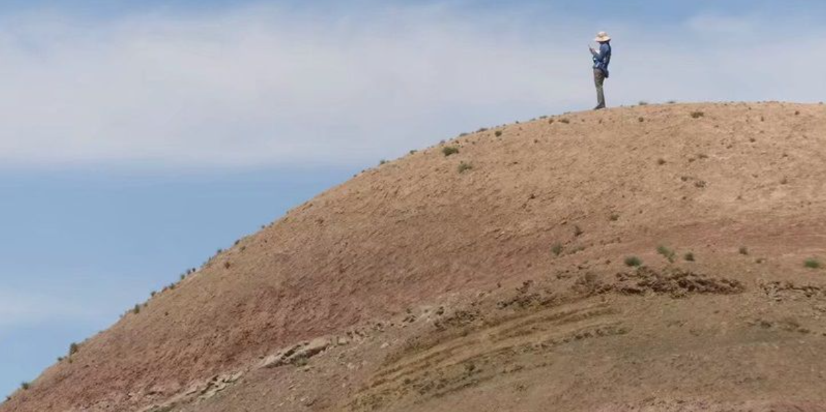 New fossils reveal climate tipping point in most famous mass extinction