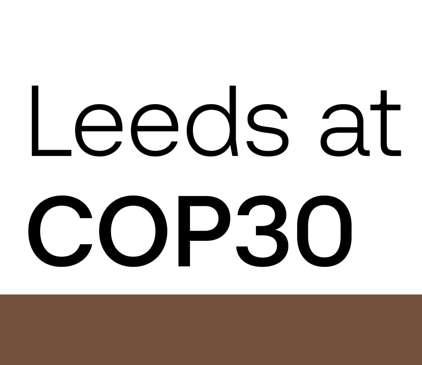 Graphic with the text Leeds at COP30